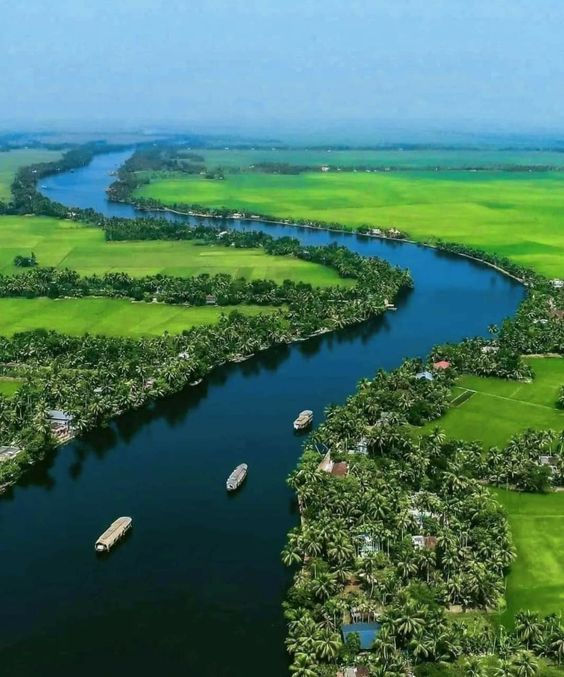 Alleppey to Cochin