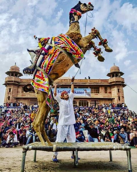 Bikaner Sightseeing