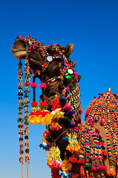 How to plan a perfect Rajasthan trip