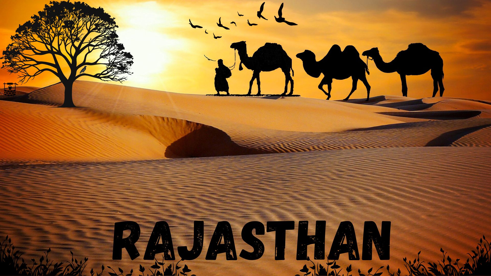 How to plan a perfect Rajasthan trip