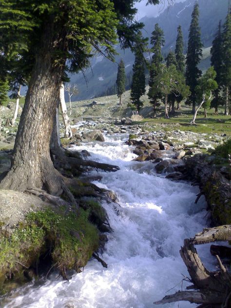 Srinagar – Sonmarg (90 Kms)